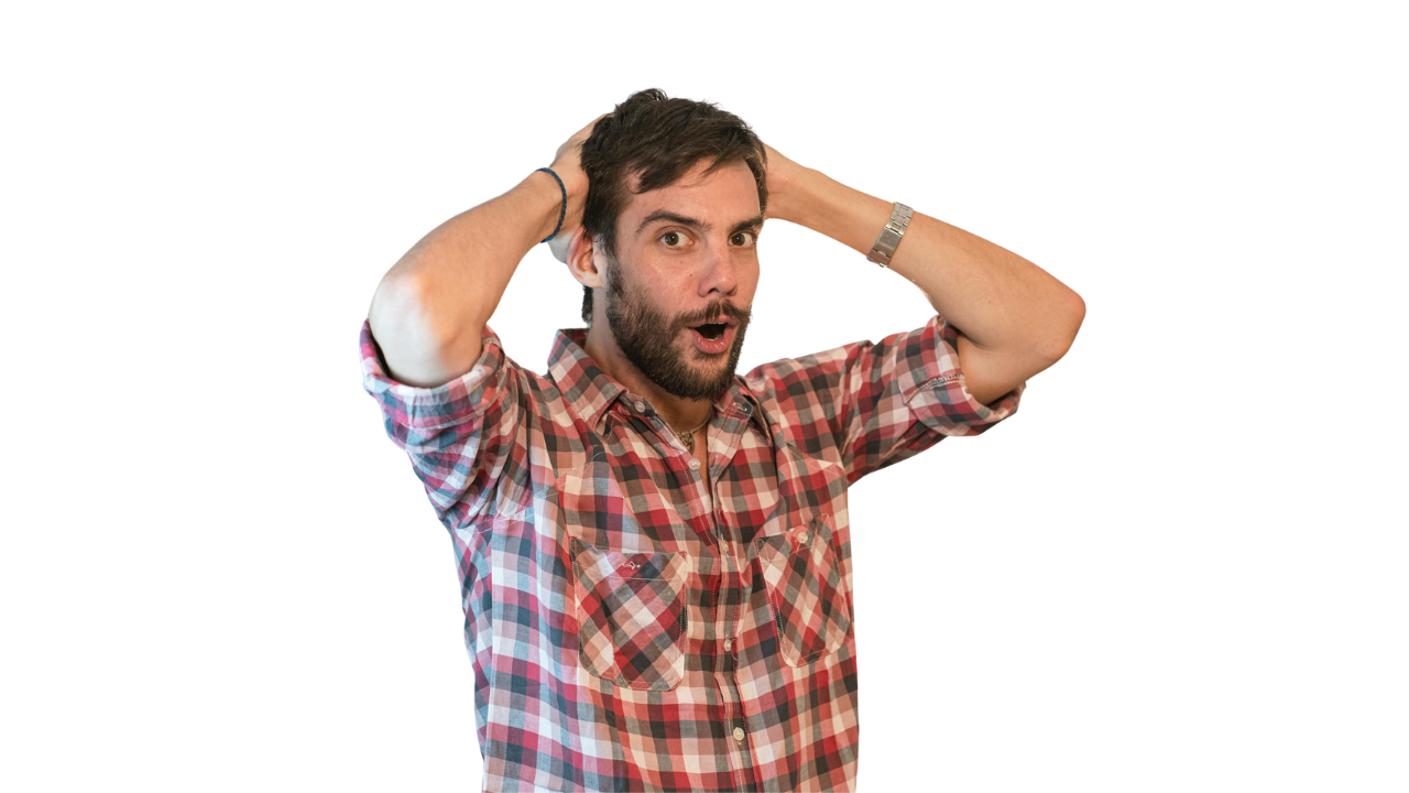 SEO growth insights and ranking strategy