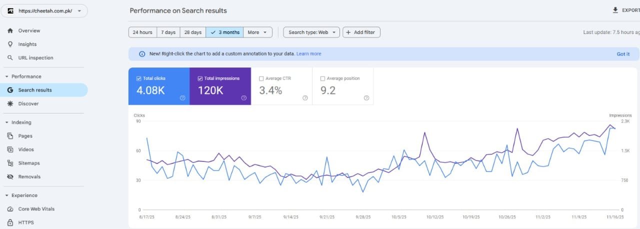 SEO ranking results screenshot 2